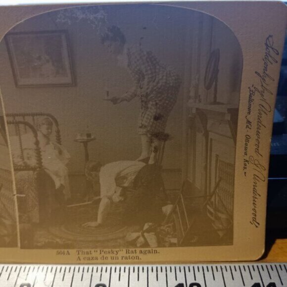 That Pesky Rat Again Vintage 1891 Stereoview Photo Card - Littleton View Co. - Picture 4 of 4
